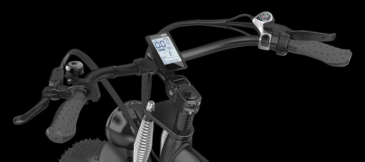 HIDOES B3 Fat Tire Electric Bike: 1200W Motor, 28 MPH Max Speed, 75km PAS Range, 26x4.0 Tires, 265 lbs Load Capacity, 5-Level Pedal Assist System