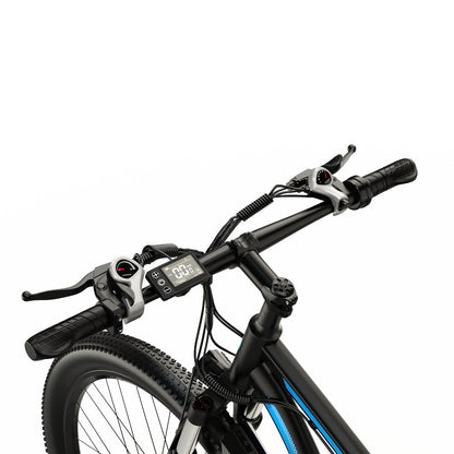 DUOTTS C29 Electric Bike - 750W Motor, 29" Tires, 21-Speed Shimano, 48V 15Ah Battery, Front Shock Absorber