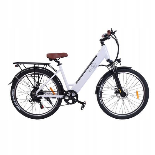 BEZIOR M3 26” MTB Electric Bike - EcoProBikes