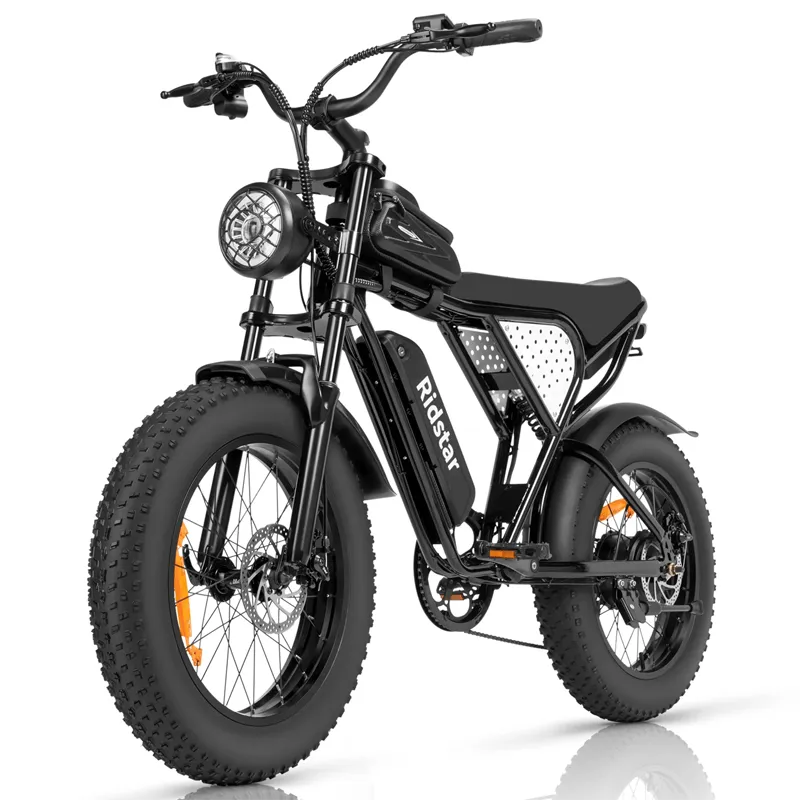 Ridstar Q20 Lite - 1000W Electric Bike, 20" Fat Tires, Dual Suspension, 48V 15AH Battery